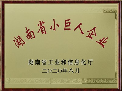 2020年湖南省小巨人企業(yè)